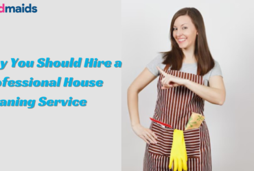 Professional House Cleaning Service