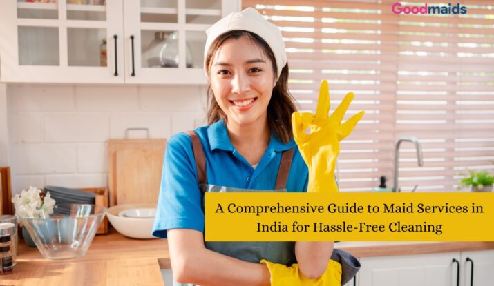 Maid Services in India