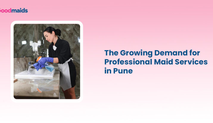 Demand for Professional Maid Services pune