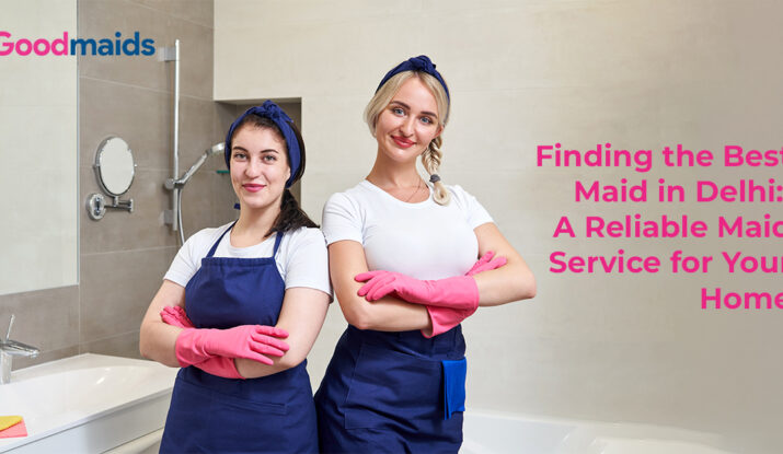 Finding the Best Maid in Delhi