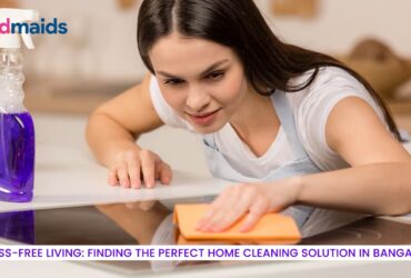 Maid and Cleaning Services