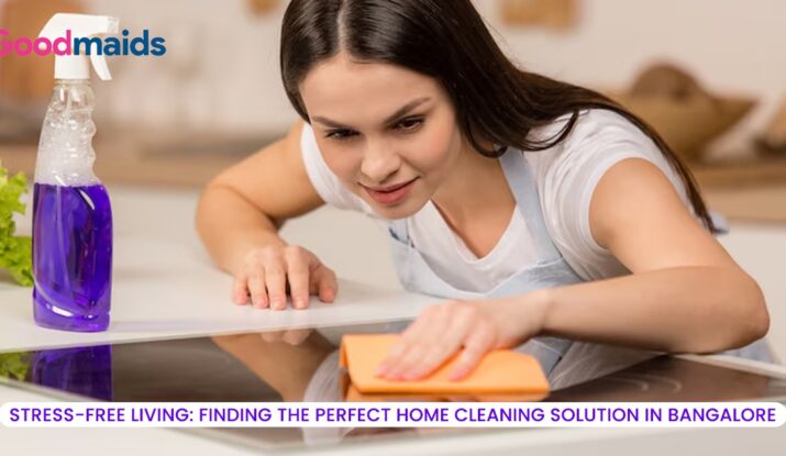 Maid and Cleaning Services